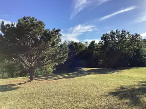 346 Second Creek Rd, Five Points, TN 38457 photo 38