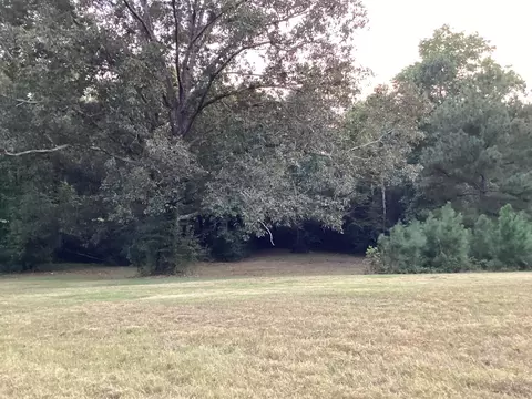 346 Second Creek Rd, Five Points, TN 38457 photo 22
