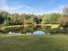 346 Second Creek Rd, Five Points, TN 38457 photo 7