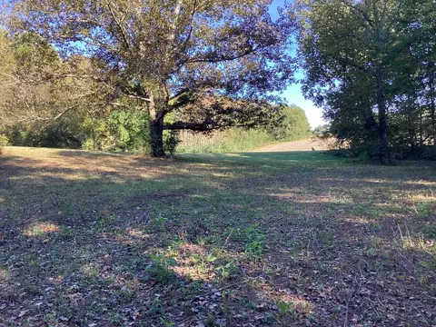 346 Second Creek Rd, Five Points, TN 38457 photo 36