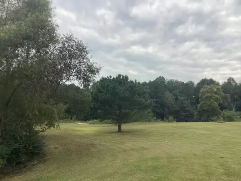 346 Second Creek Rd, Five Points, TN 38457 photo 8