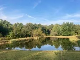 346 Second Creek Rd, Five Points, TN 38457 photo 35