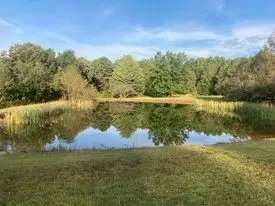 346 Second Creek Rd, Five Points, TN 38457 photo 34