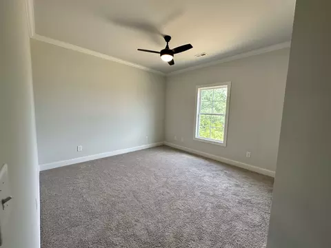 1003 Pheasant Run Ct, Spring Hill, TN 37174 photo 21