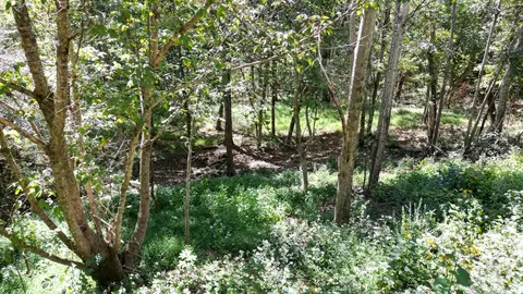 1525 Shoreside Dr, Smithville, TN 37166
