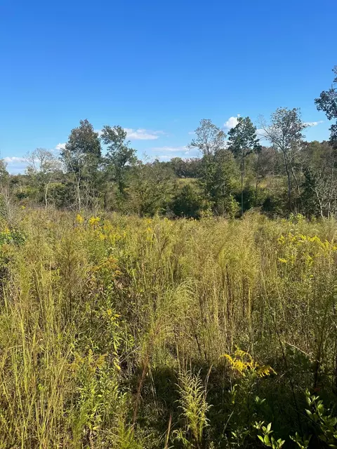0 Short Cut Rd, Lester, AL 35647