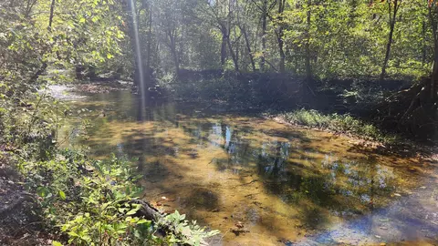 1475 Puncheon Creek Rd, Lafayette, TN 37083