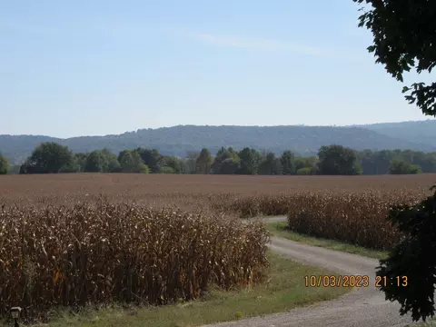544 Steakley Rd, Morrison, TN 37357 photo 36