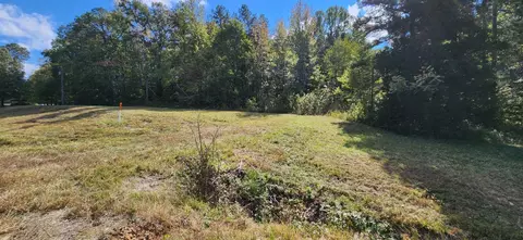 3 Sugar Maple Dr, Dover, TN 37058 photo 3