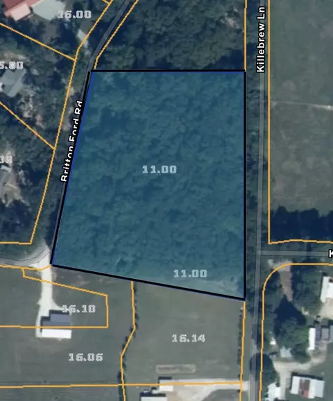 0 Killebrew Ln, Springville, TN 38256