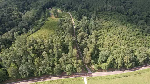 472 Bear Creek Rd, Collinwood, TN 38450