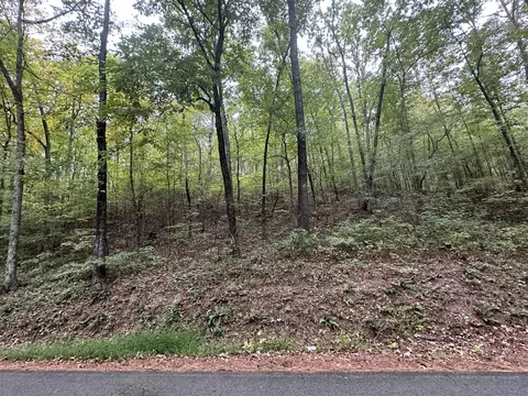 0 Red Bank Creek Rd, Lobelville, TN 37097
