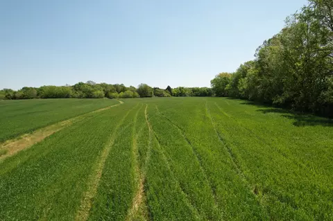 0 Highway 41a, Eagleville, TN 37060 photo 14