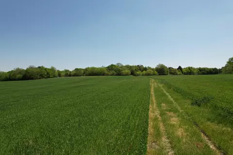 0 Highway 41a, Eagleville, TN 37060 photo 11