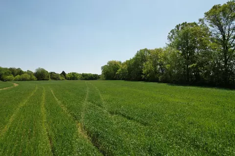 0 Highway 41a, Eagleville, TN 37060 photo 12