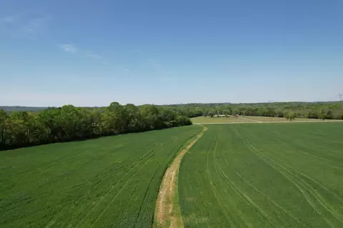 0 Highway 41a, Eagleville, TN 37060 photo 3