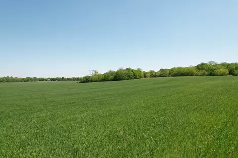 0 Highway 41a, Eagleville, TN 37060 photo 10