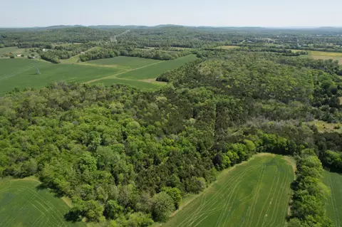0 Highway 41a, Eagleville, TN 37060 photo 9