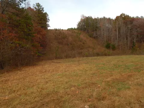 0 Clifton Tpke, Waynesboro, TN 38485