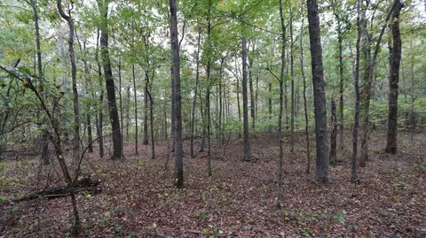 0 Piney Rd W, Dickson, TN 37055 photo 19