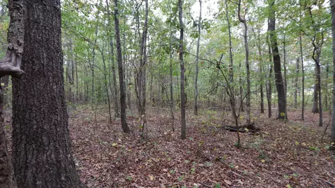 0 Piney Rd W, Dickson, TN 37055 photo 18