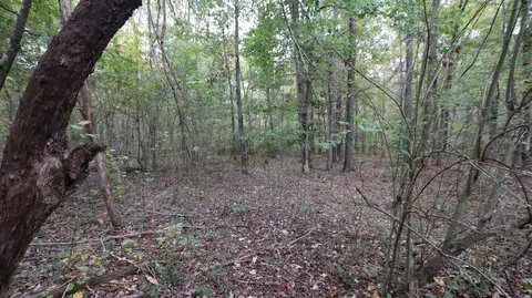 0 Piney Rd W, Dickson, TN 37055 photo 12