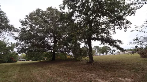 0 Piney Rd W, Dickson, TN 37055 photo 11