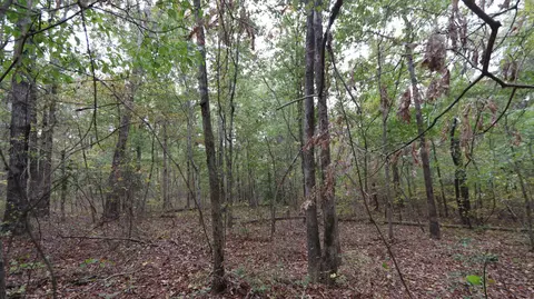 0 Piney Rd W, Dickson, TN 37055 photo 20