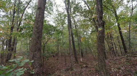0 Piney Rd W, Dickson, TN 37055 photo 14