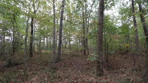 0 Piney Rd W, Dickson, TN 37055 photo 13