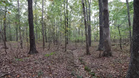 0 Piney Rd W, Dickson, TN 37055 photo 16