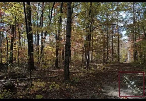 0 Buck Loop, Sparta, TN 38583 photo 6