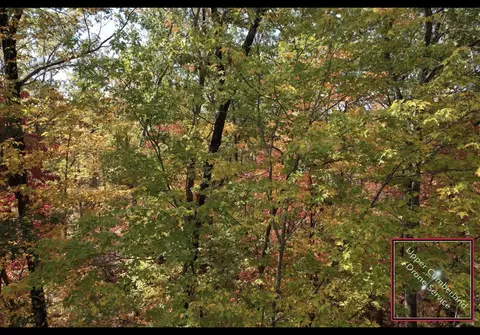 0 Buck Loop, Sparta, TN 38583 photo 7