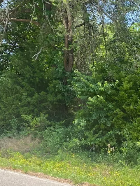 7696 Dice Lampley Rd, Fairview, TN 37062 photo 1