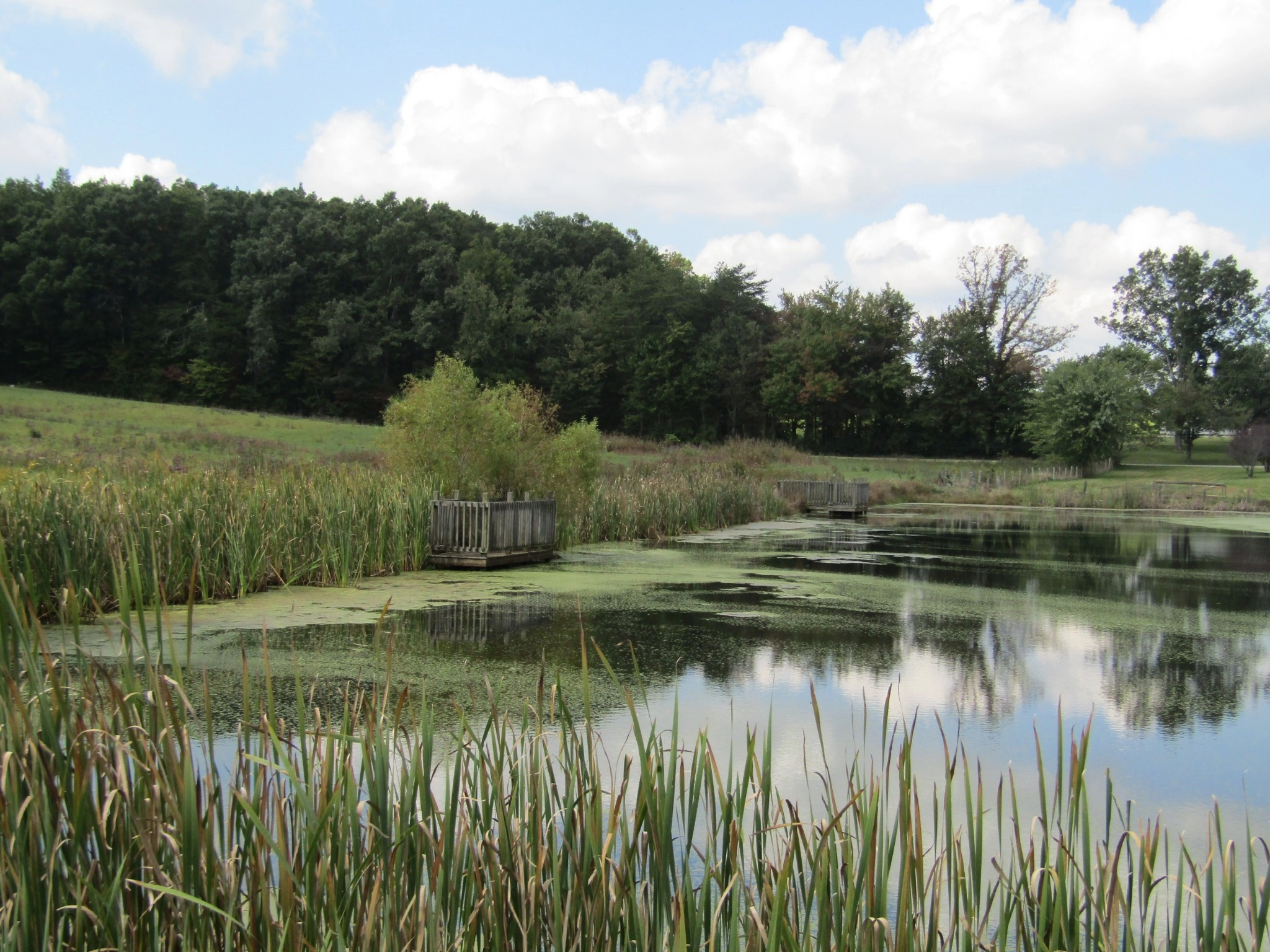 3 09 Ac Hack Beaty Rd