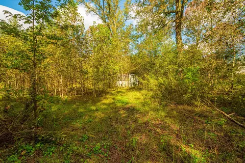 0 Fall River Rd, Goodspring, TN 38460 photo 32