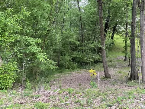 0 Tinsley Ln, Columbia, TN 38401