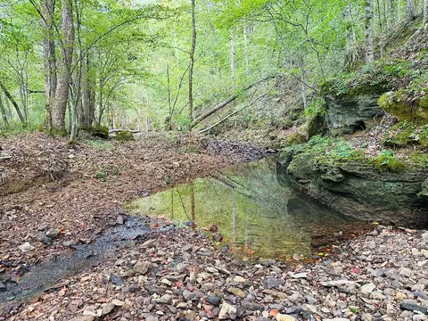 0 Barbecue Rd, Dickson, TN 37055 photo 14
