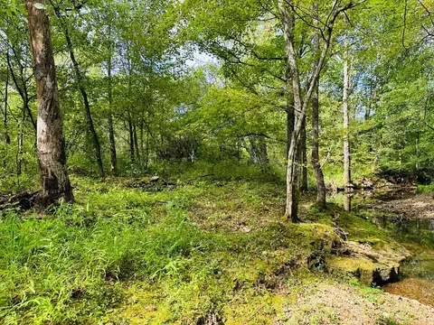 0 Barbecue Rd, Dickson, TN 37055 photo 15