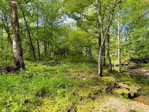 0 Barbecue Rd, Dickson, TN 37055 photo 15