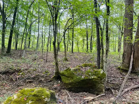 0 Barbecue Rd, Dickson, TN 37055 photo 7