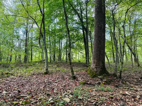 0 Barbecue Rd, Dickson, TN 37055 photo 6