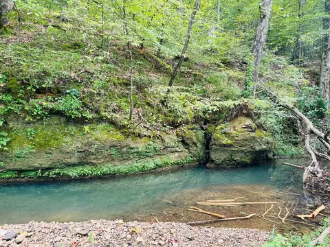0 Barbecue Rd, Dickson, TN 37055 photo 10
