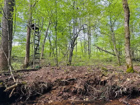 0 Barbecue Rd, Dickson, TN 37055 photo 5