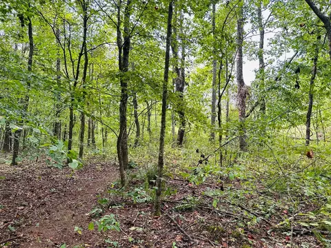 0 Barbecue Rd, Dickson, TN 37055 photo 16