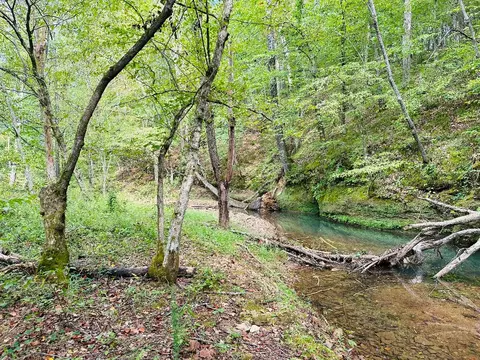 0 Barbecue Rd, Dickson, TN 37055 photo 9