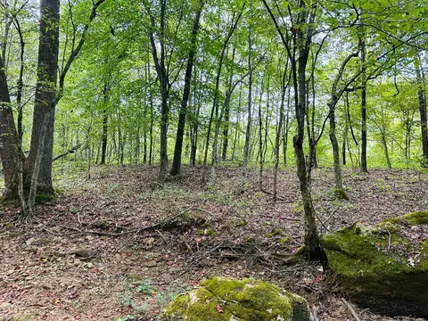 0 Barbecue Rd, Dickson, TN 37055 photo 8