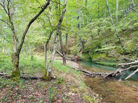 0 Barbecue Rd, Dickson, TN 37055 photo 9