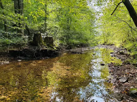 0 Barbecue Rd, Dickson, TN 37055 photo 12