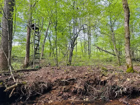 0 Barbecue Rd, Dickson, TN 37055 photo 5